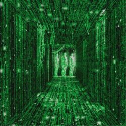 Matrix Movie Hd Backgrounds 9 HD Wallpapers