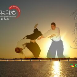 Image For > Aikido Art Wallpapers