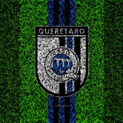 Download wallpapers Queretaro FC, Gallos Blancos de Queretaro, 4k
