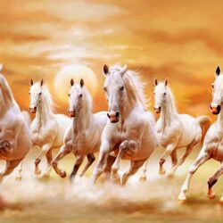 Seven Horses Running Wallpapers