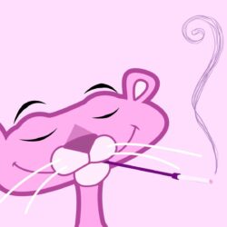 Wallpapers For > Pink Panther Wallpapers