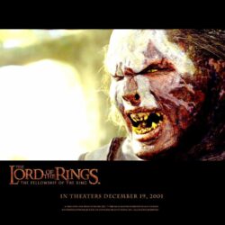 The Lord Of The Rings: The Fellowship Of The Ring wallpapers