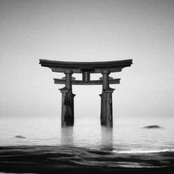 Best 49+ Torii Wallpapers on HipWallpapers