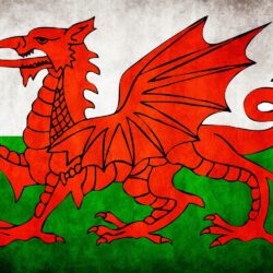 Wales National Football Team 2015 The Dragons HD Desktop Wallpapers