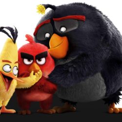 Wallpapers Chuck, Red, Bomb, Angry Birds, 4K, Movies,