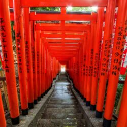 Light at the End of the Torii ❤ 4K HD Desktop Wallpapers for 4K