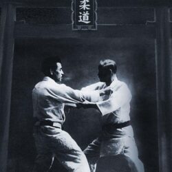 Judo Wallpapers 13