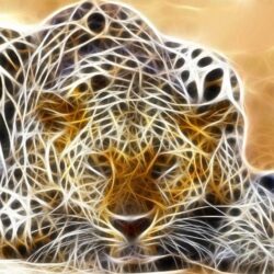 Jaguar 3D Render Fantasy wallpapers