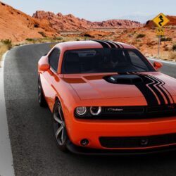 2019 Dodge Challenger Front HD Wallpapers