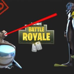 Leaked 3D Models of New Skins, Gliders, and Back Blings Coming Soon