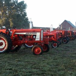 Free picture: farmall, tractors