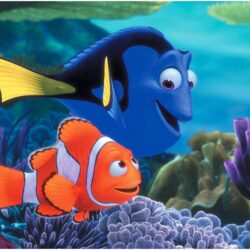 Live Finding Dory Wallpapers Wallpapers