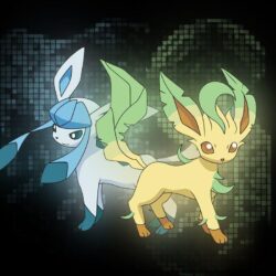 Pokémon Photo: leafeon and glaceon