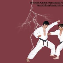 Image For > Shotokan Karate Wallpapers