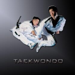 Taekwondo Wallpaper, Background, Theme, Desktop