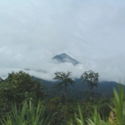 Mount Cameroon HD Wallpapers
