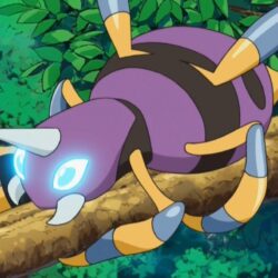 shiny Ariados in the anime