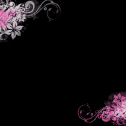 Download Black And Pink Wallpapers Borders 20 Widescreen Wallpapers