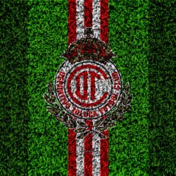 Download wallpapers Deportivo Toluca FC, 4k, football lawn, logo