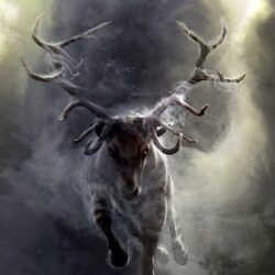 Wallpapers : deer, sky, smoke, horns, Run, darkness, screenshot, horn