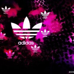 Pink Adidas Logo Wallpapers Image & Pictures