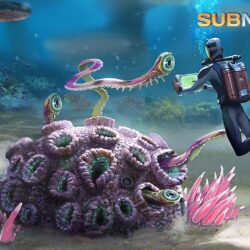 Subnautica Wallpapers ·①