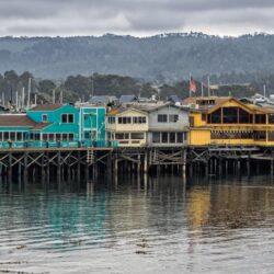 Fisherman’s Wharf :: Monterey Whalefest Jan 24