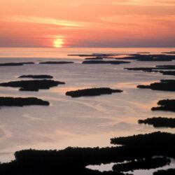 Everglades National Park wallpapers