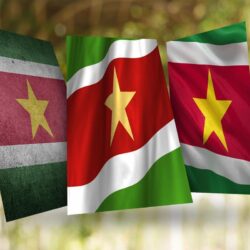 Suriname Flag Wallpapers for Android