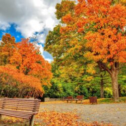 Autumn in Ottawa Wallpapers · 4K HD Desktop Backgrounds Phone Image