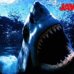 Jaws Wallpaper: Jaws Wallpapers