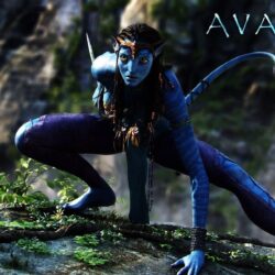 Avatar 3d Wallpapers