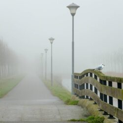 top best photographs of fog image