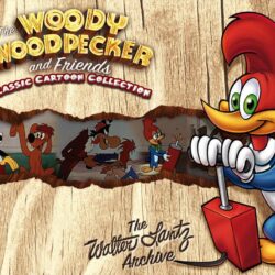 Animation Pictures Wallpapers: Woody Woodpecker Wallpapers