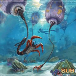 Subnautica Wallpapers High Quality