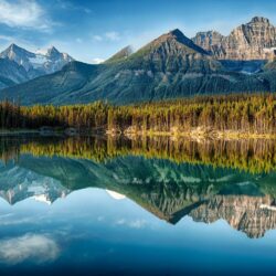 Lakes: Herbert Lake Reflection Beautiful Forest Banff National Park