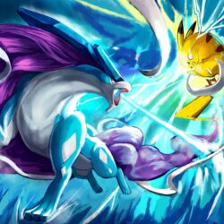 23 Suicune