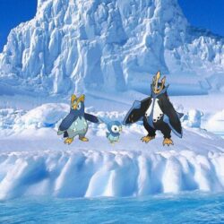 Piplup image Piplup,Prinplup and Empoleon in Antarctica HD