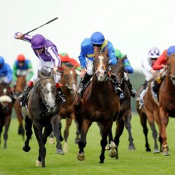 Animals For > Horse Racing Wallpapers