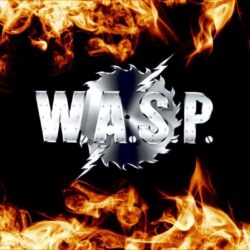 WASP heavy metal