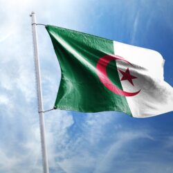 Free stock photo of algeria, algiers, arabic