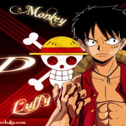 Wallpapers One Piece Luffy Group
