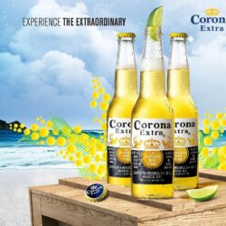 Alcohol Drink Corona Extra Beer Wallpapers For Your PC Computer Drink