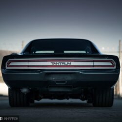 1970 Dodge Charger Wallpapers, 1970 Dodge Charger PC Backgrounds