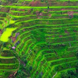 The rice terrace fields of Banaue country : the Philippines place
