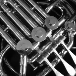 Spirals & Spatulas: Clarinet Photos, French Horn Photos, and Piano