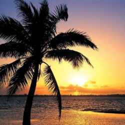Beach Sunset Backgrounds 33170 Hd Wallpapers in Beach n Tropical