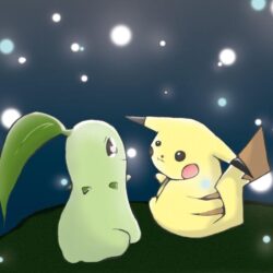 Pikachu and Chikorita Sparkles by Ah