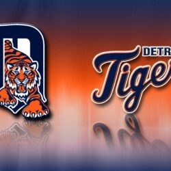 Detroit Tigers Wallpapers 13594 ~ HDWallSource