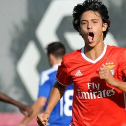 Manchester Duo Join Arsenal in Chase for Benfica Youngster